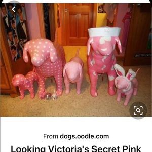 ISO pink dogs size small and medium no minis